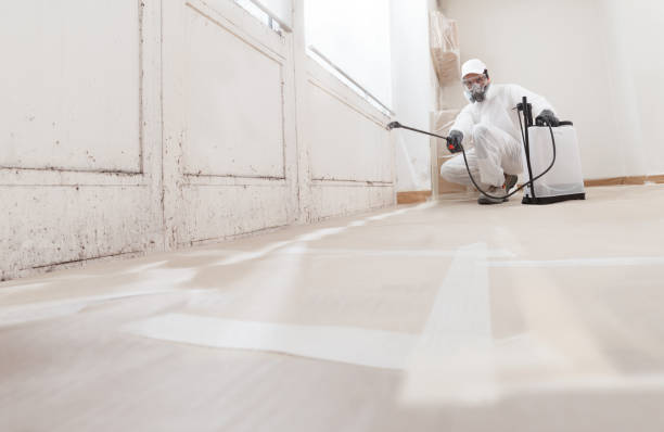24/7 Emergency Attic Mold Removal experts in Farmersville, TX