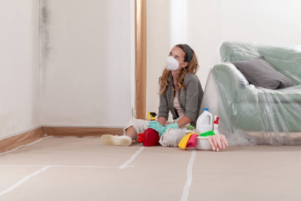 Reliable Attic Mold Removal contractor in Farmersville, TX by WQB Mold Removal